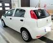Fiat Punto Punto III 2012 5p 1.2 Street E6 - thumbnail 10