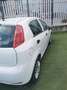 Fiat Punto Punto III 2012 5p 1.2 Street E6 - thumbnail 3