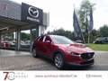 Mazda CX-30 Exclusive-Line 186 Automatik 2025|Navi|Matrix-LED Rot - thumbnail 3