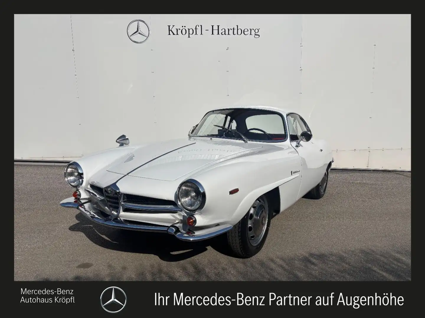 Alfa Romeo Giulia SS Weiß - 1