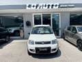 Fiat Panda Panda 1.2 Climbing 4x4 OK NEOPATENTATI - thumbnail 1