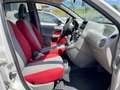 Fiat Panda Panda 1.2 Climbing 4x4 OK NEOPATENTATI - thumbnail 11