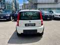 Fiat Panda Panda 1.2 Climbing 4x4 OK NEOPATENTATI - thumbnail 5