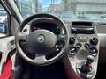 Fiat Panda Panda 1.2 Climbing 4x4 OK NEOPATENTATI - thumbnail 14