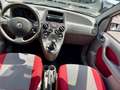 Fiat Panda Panda 1.2 Climbing 4x4 OK NEOPATENTATI - thumbnail 13