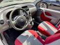 Fiat Panda Panda 1.2 Climbing 4x4 OK NEOPATENTATI - thumbnail 10