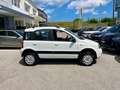 Fiat Panda Panda 1.2 Climbing 4x4 OK NEOPATENTATI - thumbnail 8