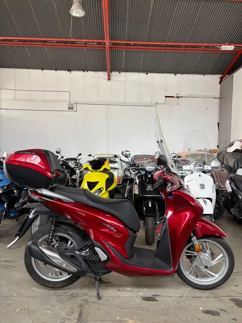 Honda SH 150 Rosso - 2