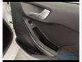 Ford Fiesta 5p 1.0 EcoBoost Hybrid Titanium Bianco - thumbnail 13