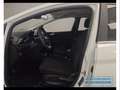 Ford Fiesta 5p 1.0 EcoBoost Hybrid Titanium Bianco - thumbnail 9