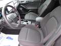 Ford Focus Focus 1.5 Ecoblue ST-Line 115cv auto Grigio - thumbnail 7