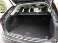 Volvo XC60 B4 D Plus Bright NAVI H/K LED PANO 360° Сірий - thumbnail 8