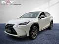 Lexus NX 300 h Executive Line Shz, Leders., LED, Blanco - thumbnail 2