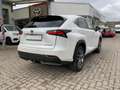 Lexus NX 300 h Executive Line Shz, Leders., LED, Blanco - thumbnail 8