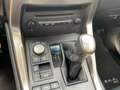 Lexus NX 300 h Executive Line Shz, Leders., LED, Blanco - thumbnail 23