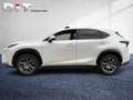 Lexus NX 300 h Executive Line Shz, Leders., LED, Blanco - thumbnail 6