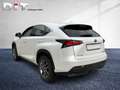 Lexus NX 300 h Executive Line Shz, Leders., LED, Blanco - thumbnail 7