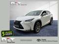 Lexus NX 300 h Executive Line Shz, Leders., LED, Blanco - thumbnail 1