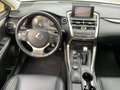 Lexus NX 300 h Executive Line Shz, Leders., LED, Blanco - thumbnail 12