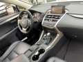 Lexus NX 300 h Executive Line Shz, Leders., LED, Blanco - thumbnail 19