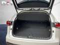 Lexus NX 300 h Executive Line Shz, Leders., LED, Blanco - thumbnail 9