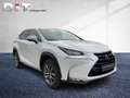 Lexus NX 300 h Executive Line Shz, Leders., LED, Blanco - thumbnail 3