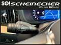 Volvo XC60 T6 AWD PHEV 18,8kWh Plus Bright Aut. Grün - thumbnail 20