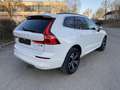 Volvo XC60 Momentum Pro AWD B5 Diesel EU6d digitales Cockpit Weiß - thumbnail 3