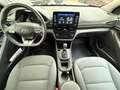 Hyundai IONIQ 1.6 GDI  Trend-Paket Plug-In Hybrid Blau - thumbnail 9