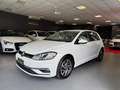 Volkswagen Golf 5p 1.6 tdi Executive 115cv - thumbnail 3