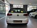 Volkswagen Golf 5p 1.6 tdi Executive 115cv - thumbnail 5