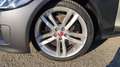 Jaguar XE Grigio - thumbnail 7