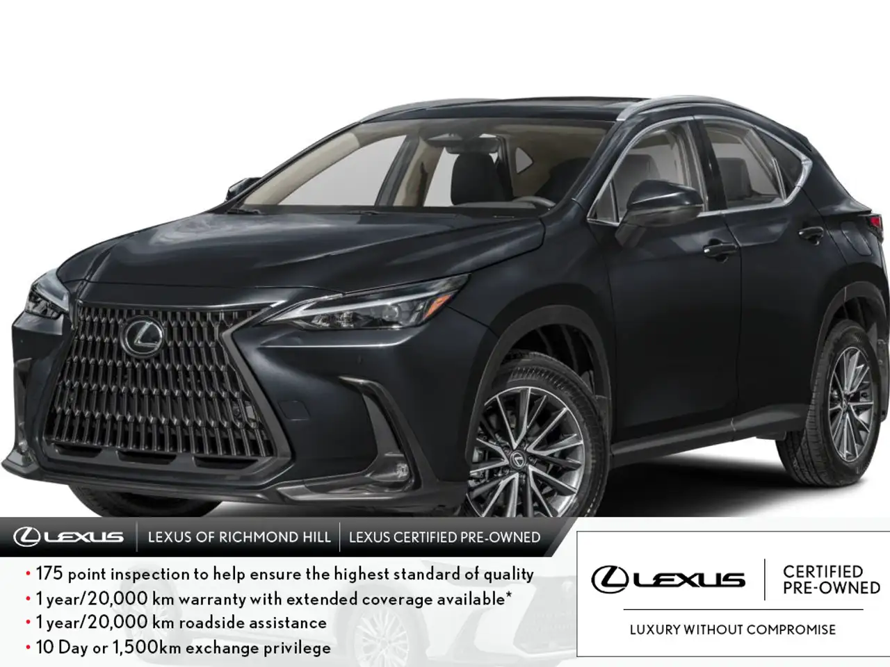 2025 Lexus NX fotografie 2025 Lexus NX