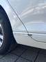 Volkswagen Passat Variant Comfortline 1,6 TDI Weiß - thumbnail 13