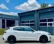Maserati Levante 3.0 V6 D. GRANSPORT *ACC*Carplay* Pano* Facelift Weiß - thumbnail 6