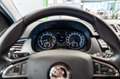 Skoda Fabia III Combi 1.0 Benzin 1.Hand 110 PS Grün - thumbnail 25