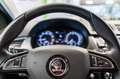 Skoda Fabia III Combi 1.0 Benzin 1.Hand 110 PS Grün - thumbnail 26