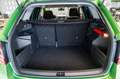 Skoda Fabia III Combi 1.0 Benzin 1.Hand 110 PS Grün - thumbnail 33
