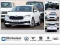 Skoda Fabia 1.0 TSI Selection LED*GRA*KLIMA*PDC*ALU*DAB+ Weiß - thumbnail 1