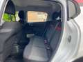 Citroen C3 C3 III 2020 1.2 puretech s Bianco - thumbnail 10