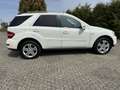 Mercedes-Benz ML 300 ML 300 CDI BlueEfficiency 4Matic (164.121) Weiß - thumbnail 8