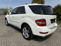 Mercedes-Benz ML 300 ML 300 CDI BlueEfficiency 4Matic (164.121) Weiß - thumbnail 3