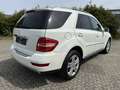 Mercedes-Benz ML 300 ML 300 CDI BlueEfficiency 4Matic (164.121) Weiß - thumbnail 4