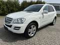 Mercedes-Benz ML 300 ML 300 CDI BlueEfficiency 4Matic (164.121) Weiß - thumbnail 1
