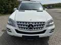 Mercedes-Benz ML 300 ML 300 CDI BlueEfficiency 4Matic (164.121) Weiß - thumbnail 5