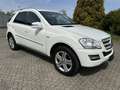 Mercedes-Benz ML 300 ML 300 CDI BlueEfficiency 4Matic (164.121) Weiß - thumbnail 2