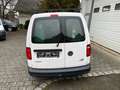 Volkswagen Caddy 1.4 TGI AUT.B.+CNG/ACC/Werkstatt Einri/AHK Weiß - thumbnail 4