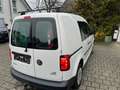 Volkswagen Caddy 1.4 TGI AUT.B.+CNG/ACC/Werkstatt Einri/AHK Weiß - thumbnail 5