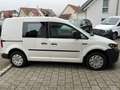 Volkswagen Caddy 1.4 TGI AUT.B.+CNG/ACC/Werkstatt Einri/AHK Weiß - thumbnail 3