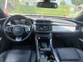 Jaguar XF Prestige AWD Grau - thumbnail 7